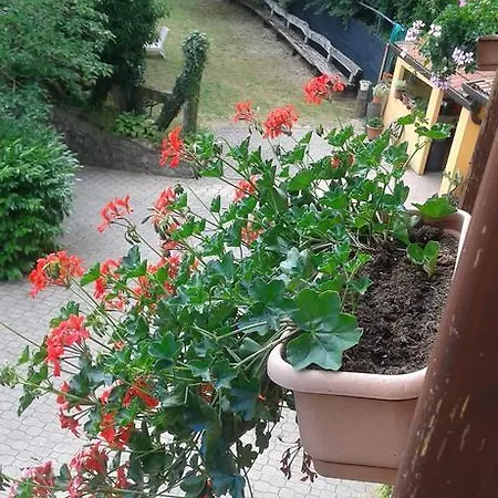 Non Solo Cicciole * Povoletto