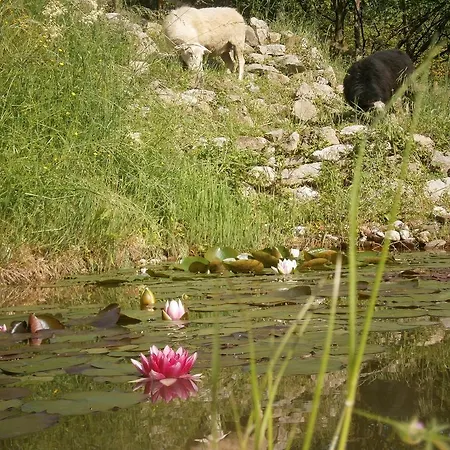 Non Solo Cicciole Séjour à la ferme Povoletto